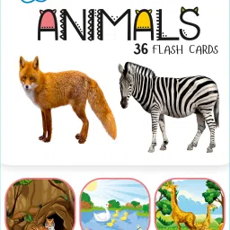 Animals - Wipe & Clean , Activity Flash Cards-image-20