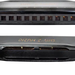 Harmonica, 10 Holes Mouth Organ, Premium Quality (with carry Case & Manual )-17