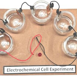 Electrochemical Cell Experiment Class 12 Investigatory Science Project Electronic Components Electronic Hobby Kit-21