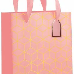 Printed Party Bag-picture-9