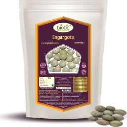 Sagargota Seeds (Caesalpinia bonducella) Karanjwa-Kalarchikai - Sagargoti - 100g Seed-image-70