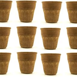 Pack of 12 Terracotta-image-59