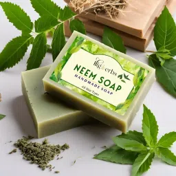 Herbal & Ayurveda Neem Soap 100 gm (200 g)-image-17