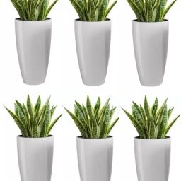 HOUSEWARE Plastic Tower Pot 8.5 inch Flower Pot for Home office Garden Balcony Plant Container Set-image-42