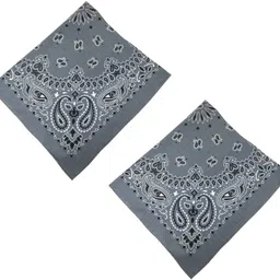 bigwheel Men, Women, Boys, Girls Striped Bandana-picture-1