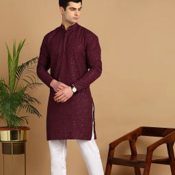 Men Chikan Embroidery Cotton Blend Straight Kurta-image-79