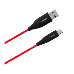 Croma Type A to Type C 3.3 Feet (1M) Cable (Dash & Warp Protocols, Red) image 4