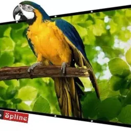 Spline 65 Inch Projector Screen,4K HD 16:9 (W) 56 In x 32 In (H)) Foldable Anti-Crease Projector Screen (Width 144.78 cm x 81.28 cm Height)-picture-24