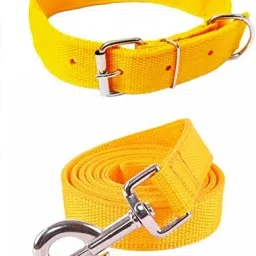 Dog & Cat Collar & Leash-0
