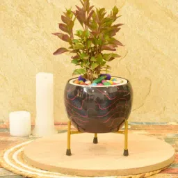 sone key chidiya Heather Iron Black Desk Pot-picture-20