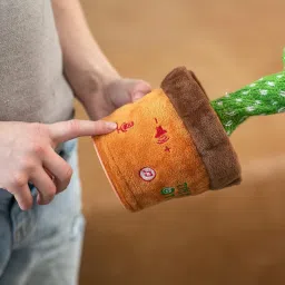 Dancing Talking Cactus Plush Toy, Wriggle, Singing, Repeats What You Say-1142-image-42