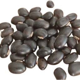 Black Kaunch Beej, kaunch Seed, Mucuna Pruriens, Velvet Beans, Kapikachhu -100 Gm Seed-image-13