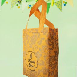 Printed Party Bag-60