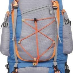 Trekking Bag For Hiking/Camping/Outdoor Sports with Rain Cover/Shoe Compartment Rucksack - 75 L-image-27