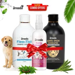Dog (Combo of 3) Flea-Tick Shampoo + Anti-Itch Shampoo 500 ml + 100 ml Spray Allergy Relief, Conditioning, Anti-fungal, Anti-microbial, Anti-itching, Anti-dandruff Natural Dog Shampoo-13