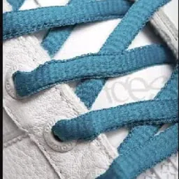 ELECSA Teal Oval Shoelaces Shoe Laces For Boys And Girls &women(2 pair ) Shoe Lace-image-2
