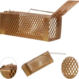 Rat Traps Live Trap-19