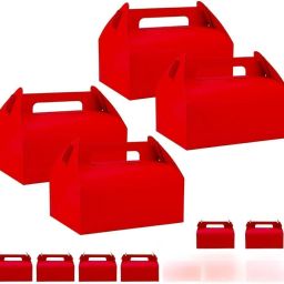 Solid Party Bag-18
