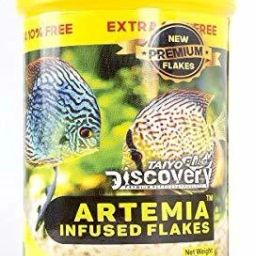 Discovery Artemia Flakes 55gm 0.1 kg Dry New Born Fish Food-image-54