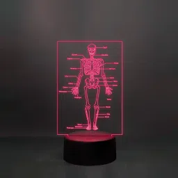 starlaser Skeleton of Human Body with Names 7 Color Changing Light Table Lamp image 2