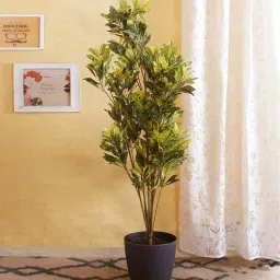fourwalls Polyester Skyla Multicolor Croton Without Pot Artificial Plant-picture-40