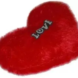 Cotton Solid Body Pillow Pack of 1-27