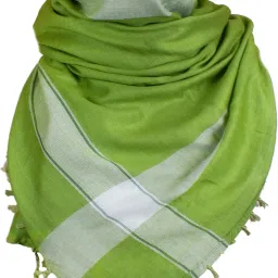 Solid, Striped Cotton Blend Men Light Green Scarf-image-49