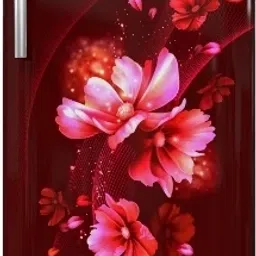 192 L Direct Cool Single Door 3 Star Refrigerator-20