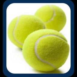 New-New-Tennis _25Pack of 6 Tennis Ball-image-68
