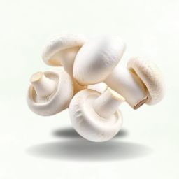 White Button Mushroom Spawn Seeds (400g) Co2 mushroom seeds suitable for growing Seed-26