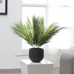 PVC Areca Palm Artificial Plant Without Pot (Set of 2) by Arick Decor-picture-23