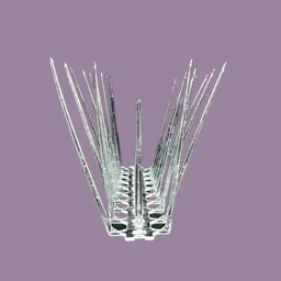 Bird Spike-picture-3