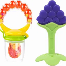 Baby Food Nibbler or Feeder with Rattle and Fruit Teether For Kids Teether and Feeder-0