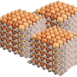 dsom Egg holder Egg Holder-picture-15