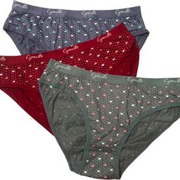 cymrite Pack of 3 Women Hipster Multicolor Panty-picture-33