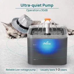 Plastic Pet Bowl & Bottle-image-27