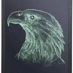 8.5 Inch LCD Writing Board Tablet Electronic Slate for Kids (Black)-40