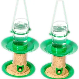 Small double decker (pack of 2) Window Bird Feeder Bird Feeder-picture-25