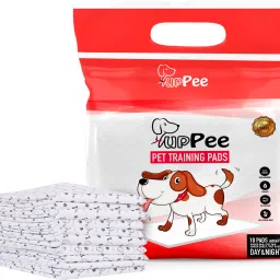 Pet Training Pads 60 X 45 CM, Urine Underpad 10 Count Per Packet (Pack of 1) Cat, Dog, Rabbit, Tortoise Pet Mat-6