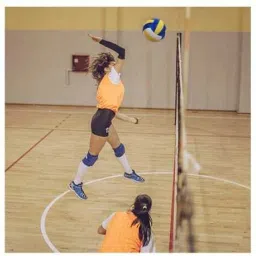 volley ball premium-008 Volleyball - Size: 4-picture-21