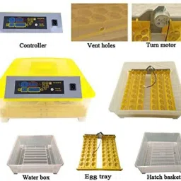 tm&w Egg Incubator, 48 Egg Incubator Eggs Fully Automatic Poultry Hatcher Machine with Temperature Control and Auto Turning, for Hatching Chicken Duck Goose Birds,48 Egg Incubator Eggs Egg Incubator image 4