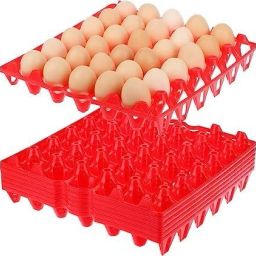 Egg holder Egg Holder-image-39