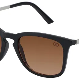 UV Protection Wayfarer Sunglasses (50)-image-2