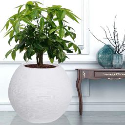 nora Small Juniper White Polyethylene Floor Planter-picture-5