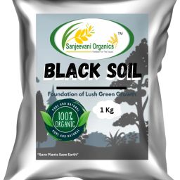 Black Soil for Home gardening and Potting soil Soil-image-73