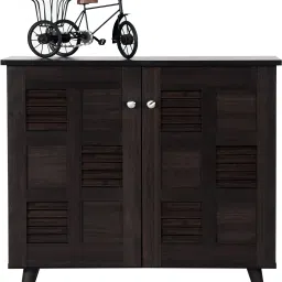 Cove 2-Door Engineered Wood Shoe Rack-26