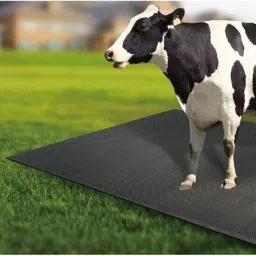 Animal Feeding Waterproof Rubber mat Cow, Dog, Guinea Pig, Hamster, Miniature Pig Pet Mat-image-72