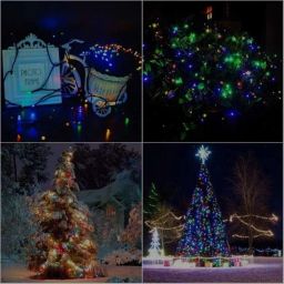40 LEDs 11 m Multicolor Steady String Rice Lights-image-80