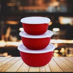 Stainless Steel Serving Bowl steel microwave bowl set with lid - food storage container set of 3 (SALE)-image-46