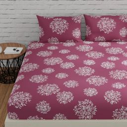 210 TC Cotton Single Floral Fitted (Elastic) Bedsheet-image-18